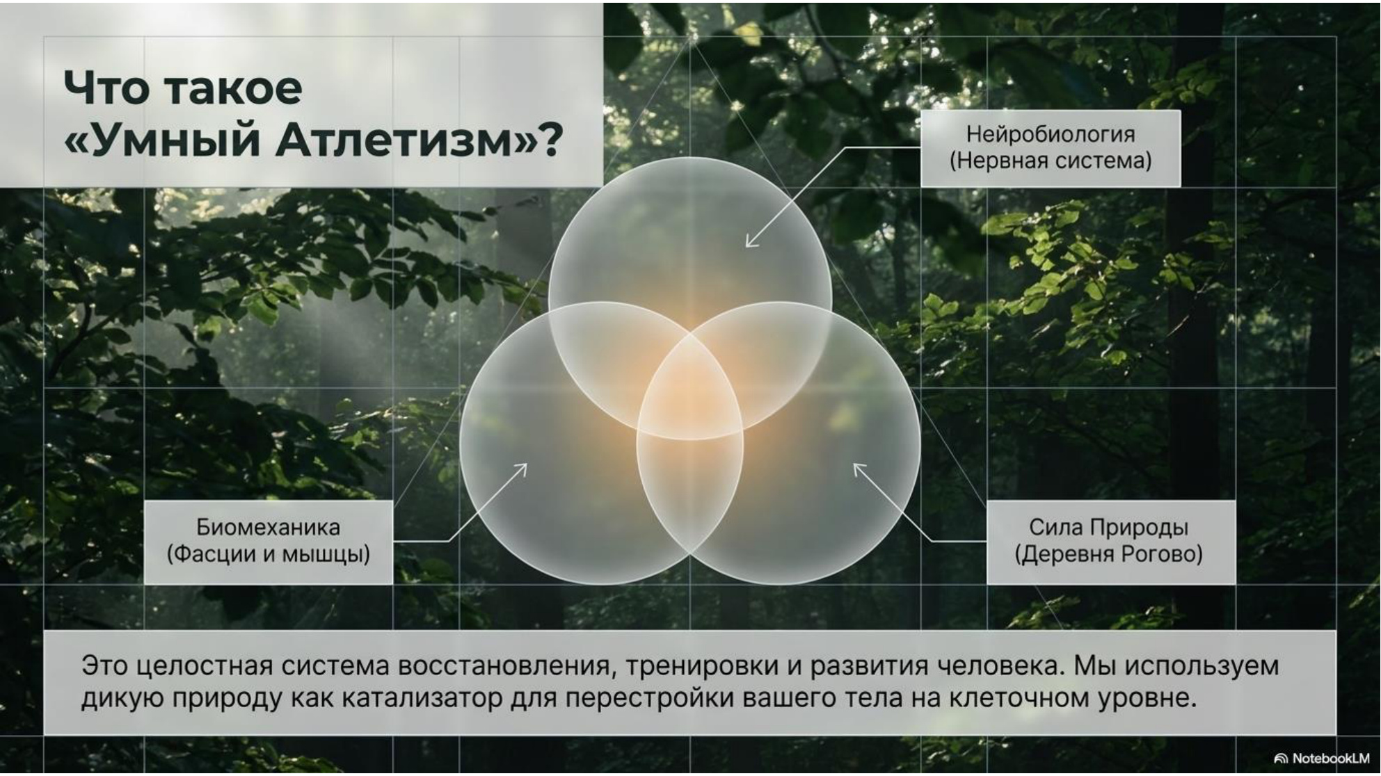 Слайд презентации 4