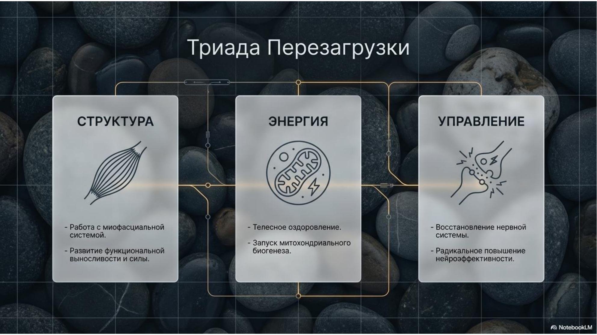 Слайд презентации 5